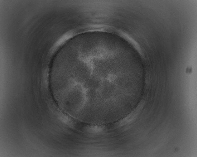 X0000096651411200802051144