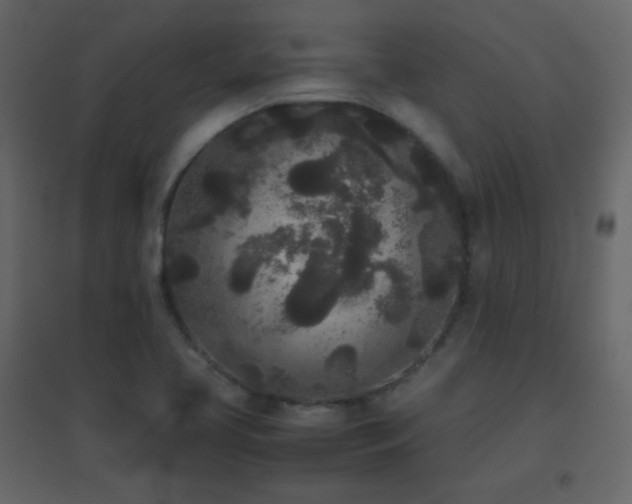 X0000096651413200802051144