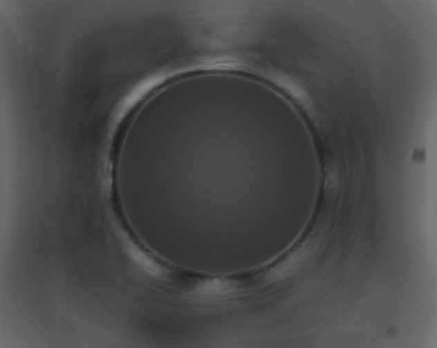 X0000096651414200802051144