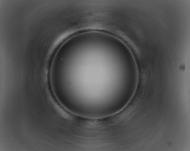 X0000096651416200802051144