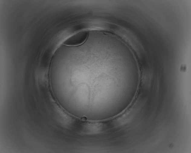 X0000096651417200802051144