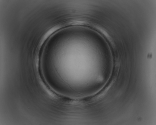 X0000096651418200802051144