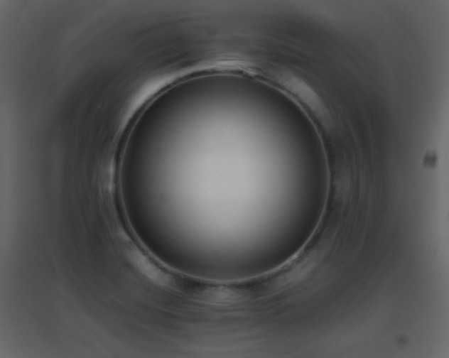 X0000096651420200802051144