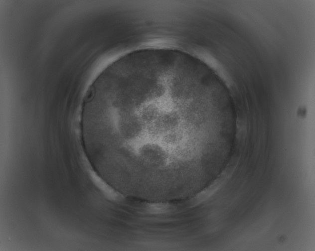 X0000096651421200802051144