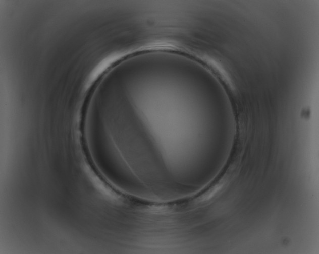 X0000096651422200802051144