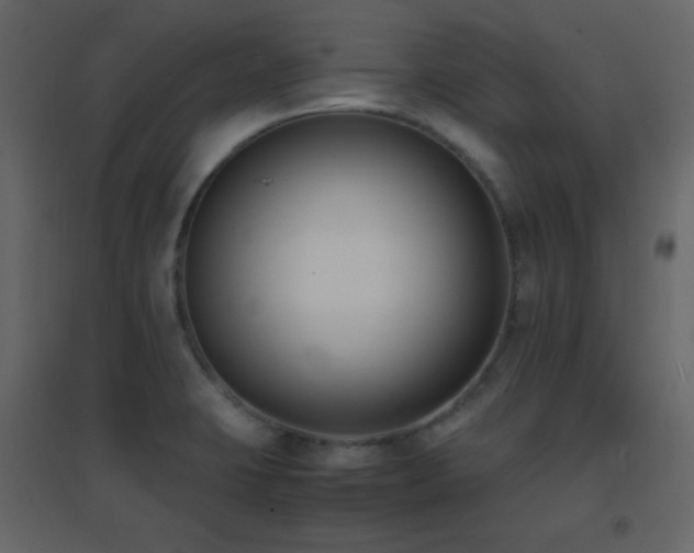 X0000096651423200802051144