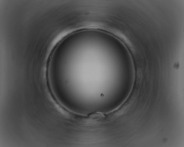 X0000096651424200802051144