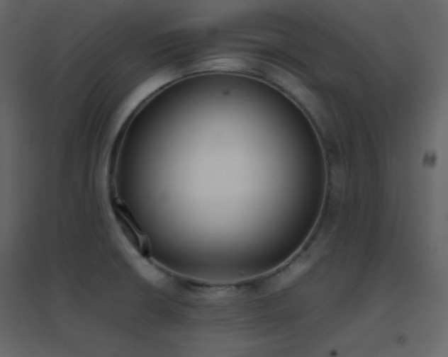 X0000096651426200802051144