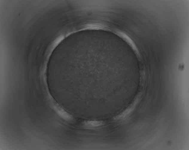 X0000096651427200802051144