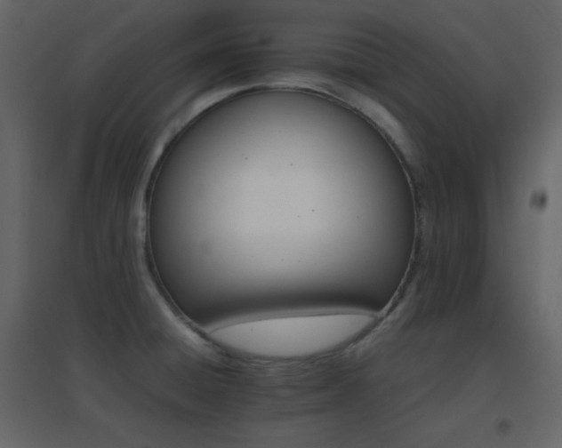X0000096651428200802051144