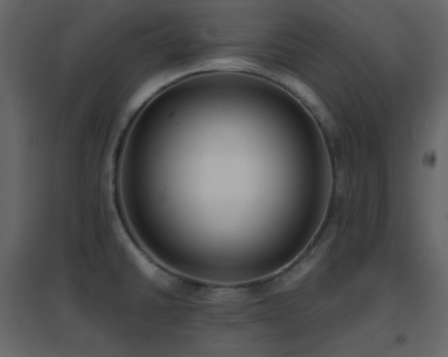 X0000096651430200802051144