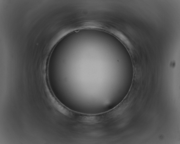 X0000096651431200802051144