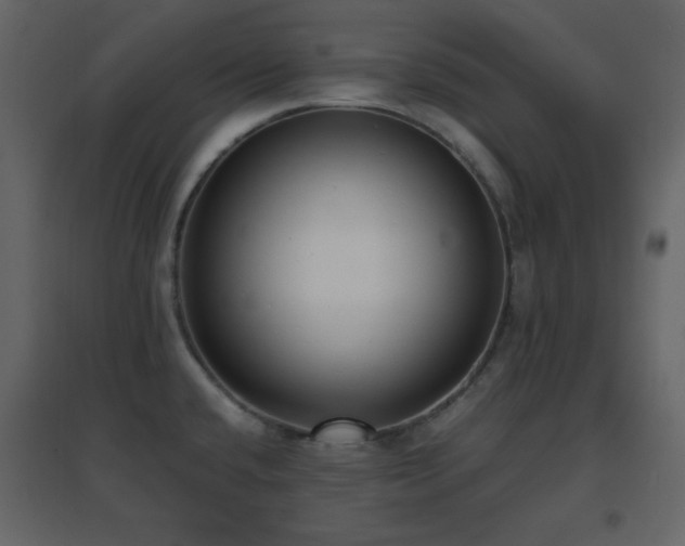 X0000096651432200802051144