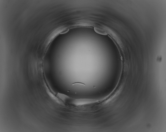 X0000096651433200802051144