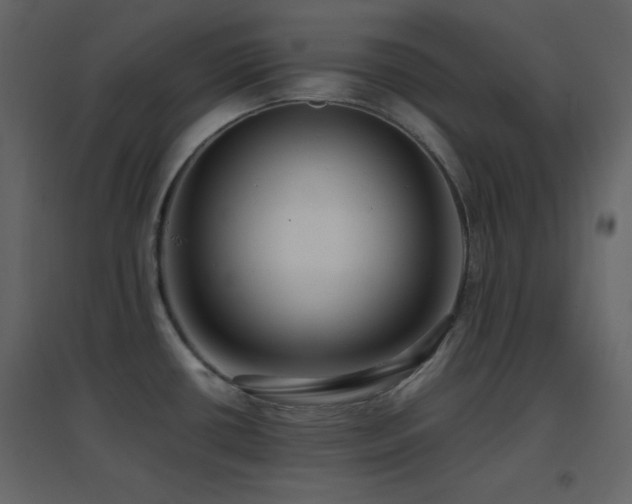 X0000096651434200802051144