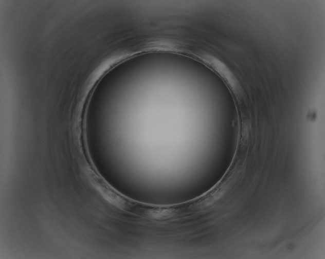 X0000096651435200802051144