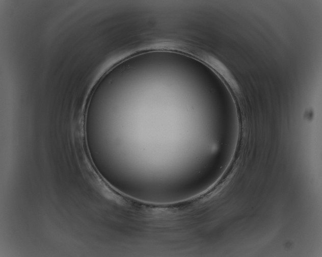 X0000096651436200802051144