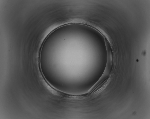 X0000096651438200802051144