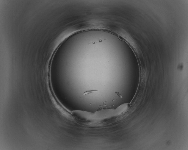 X0000096651439200802051144