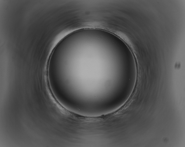 X0000096651440200802051144