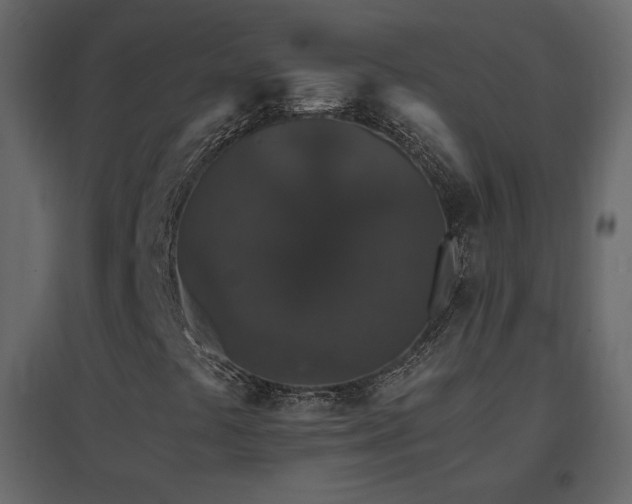 X0000096651441200802051143