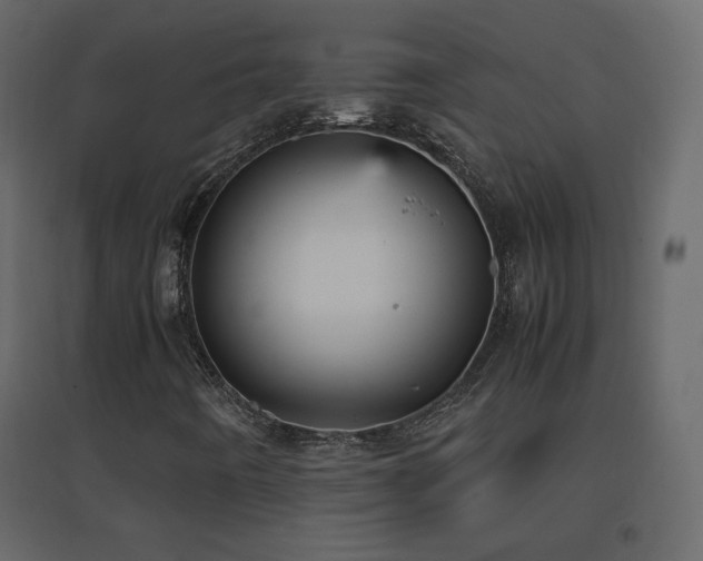 X0000096651442200802051143