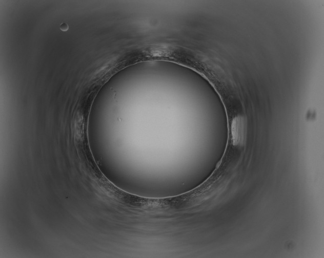 X0000096651443200802051143