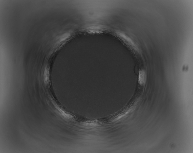 X0000096651444200802051143