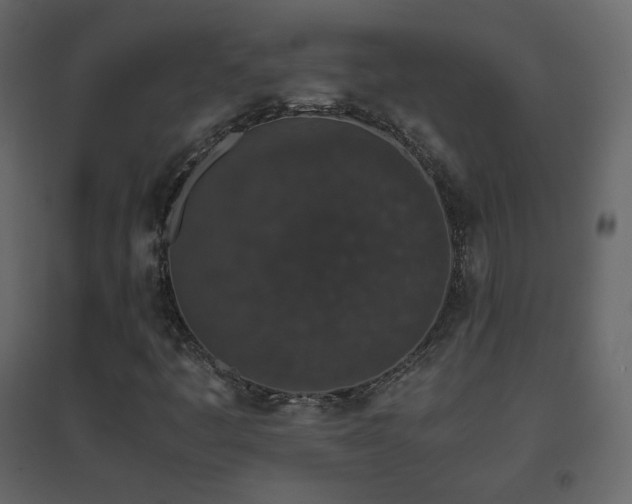 X0000096651445200802051143