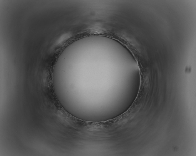 X0000096651446200802051143