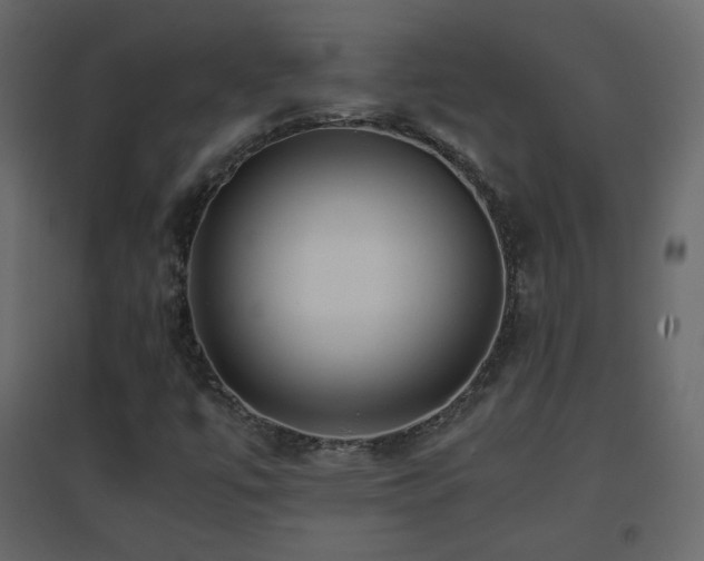X0000096651447200802051143