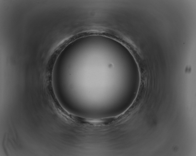 X0000096651448200802051143