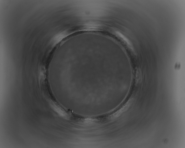X0000096651449200802051143