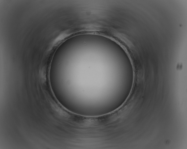 X0000096651451200802051143