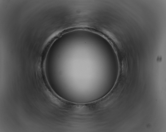X0000096651452200802051143