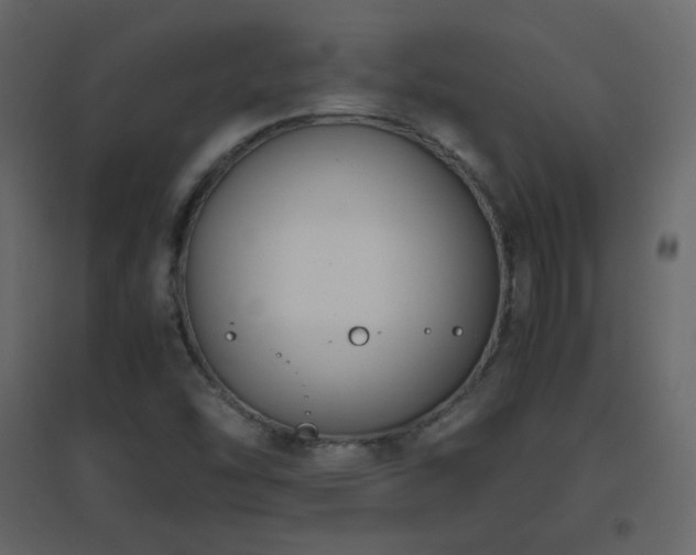 X0000096651454200802051143