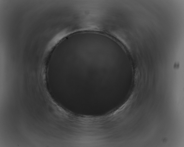 X0000096651455200802051143