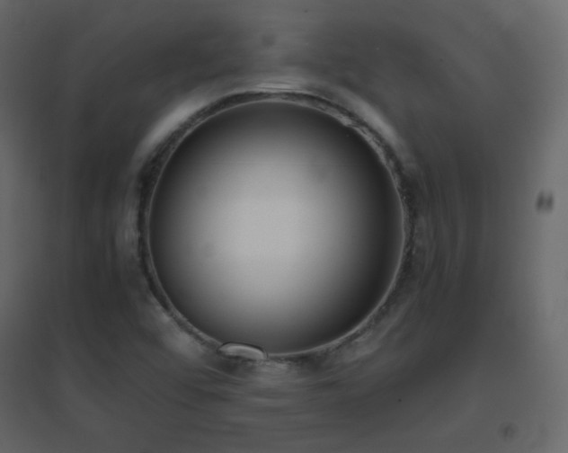 X0000096651456200802051143