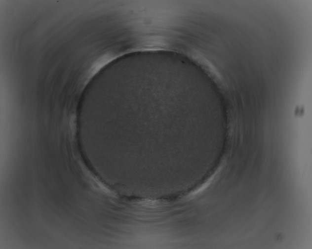 X0000096651457200802051143