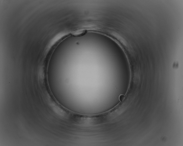 X0000096651458200802051143