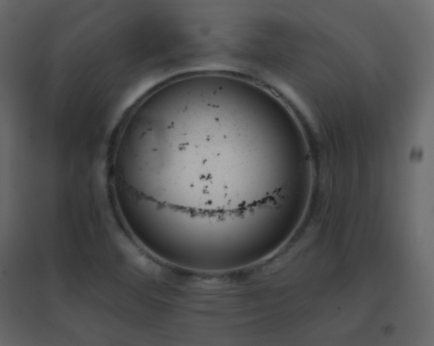 X0000096651460200802051143