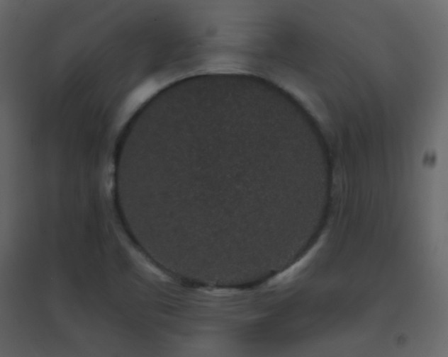 X0000096651461200802051143