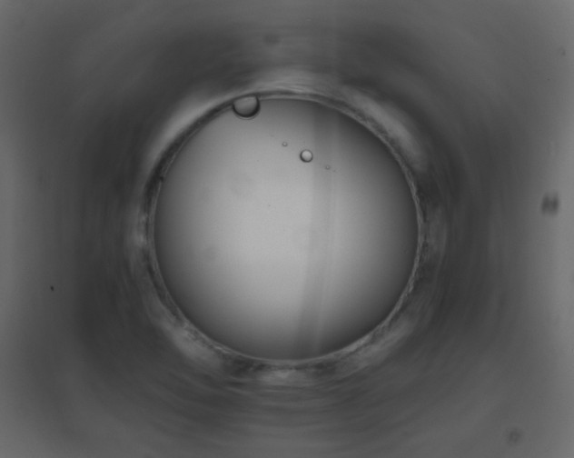 X0000096651462200802051143