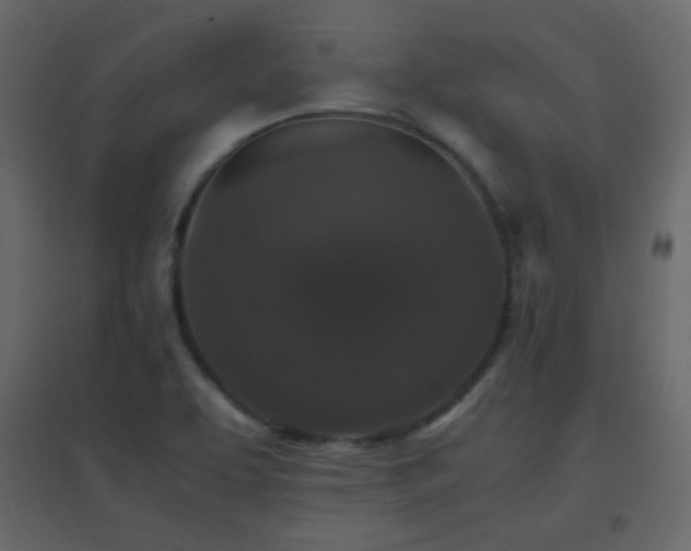 X0000096651463200802051143