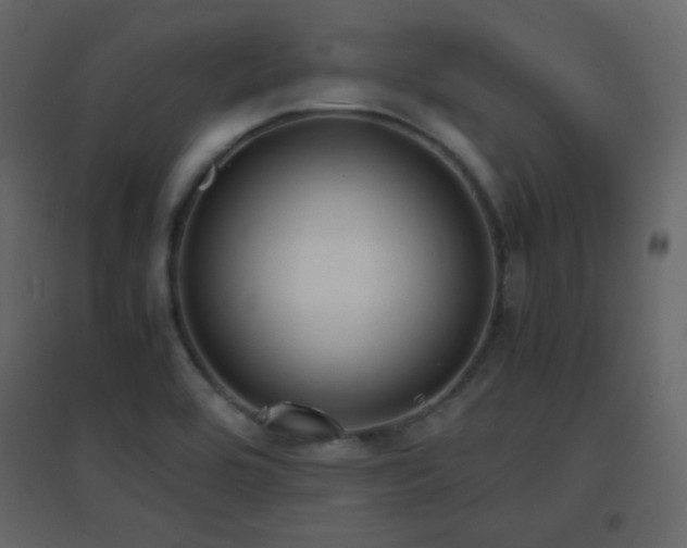X0000096651464200802051143