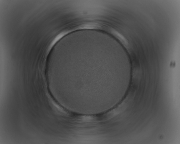 X0000096651465200802051143