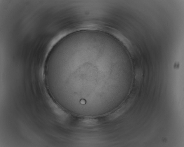 X0000096651466200802051143