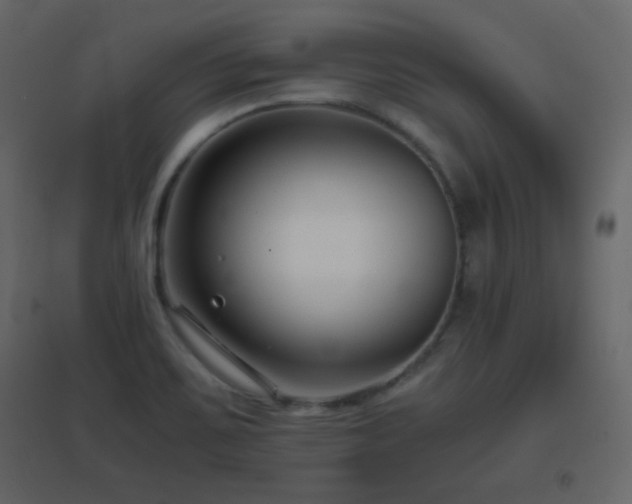 X0000096651467200802051143