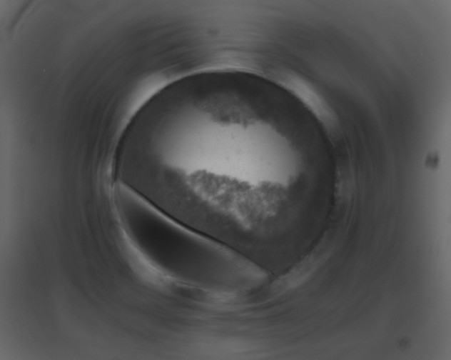 X0000096651468200802051143