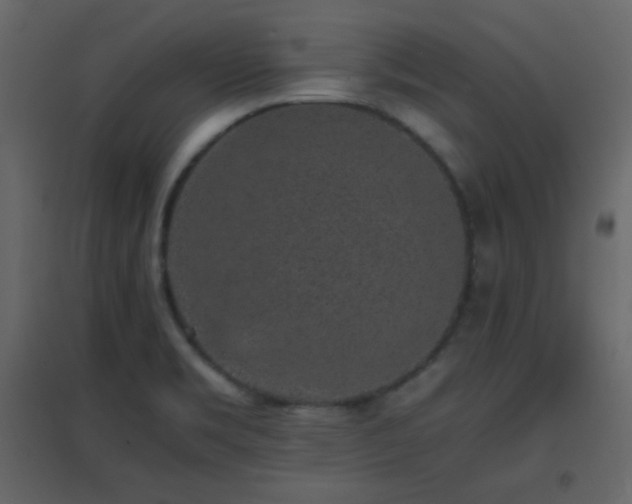 X0000096651469200802051143